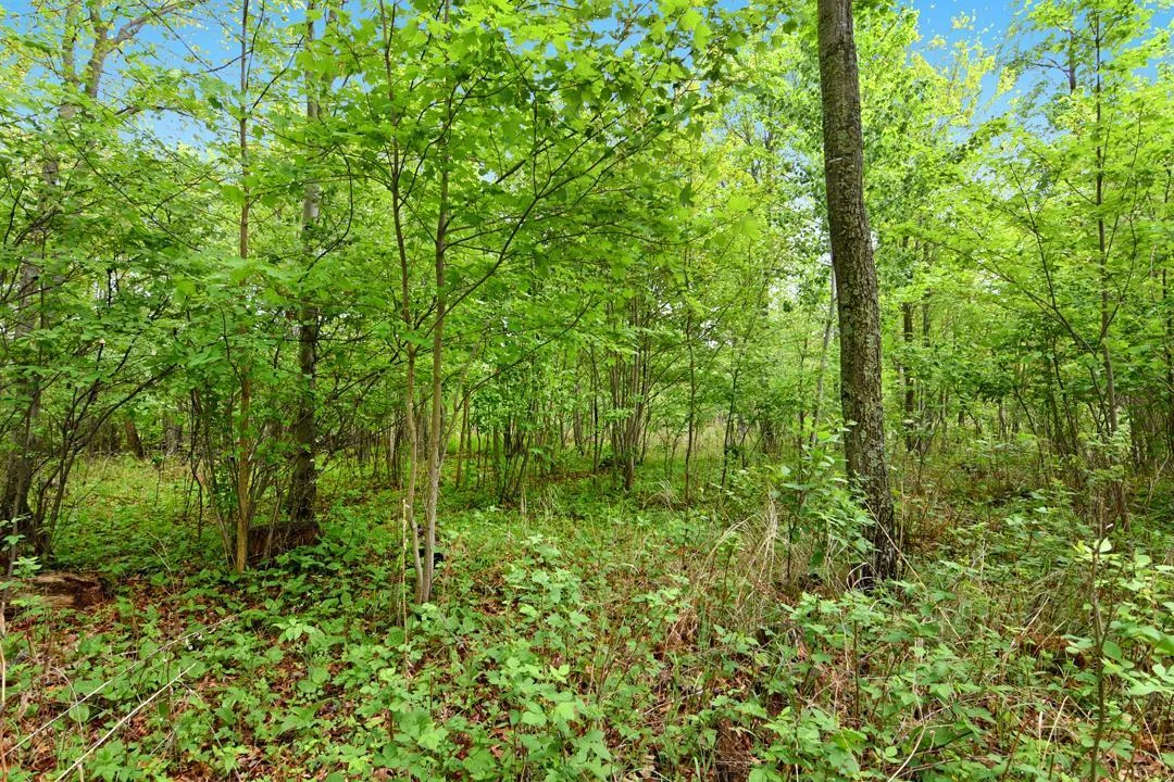 This beautiful wooded lot is the perfect place to build your Up-North Dream Home!