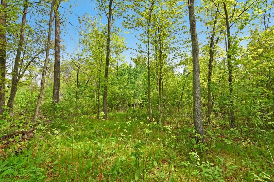 This beautiful wooded lot is the perfect place to build your Up-North Dream Home!