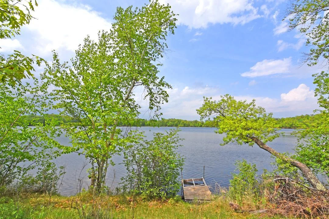 This property has deeded access to Dade Lake.