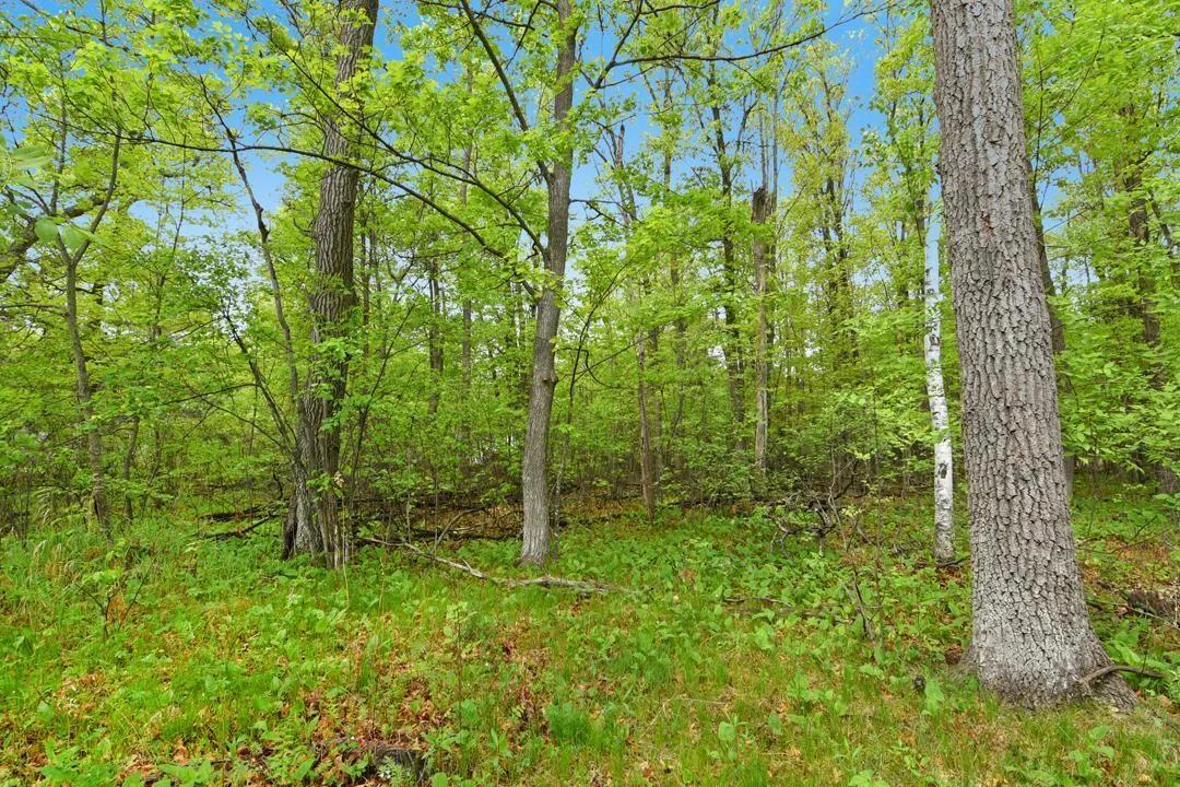 This beautiful wooded lot is the perfect place to build your Up-North Dream Home!