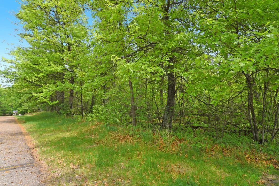This beautiful wooded lot is the perfect place to build your Up-North Dream Home!