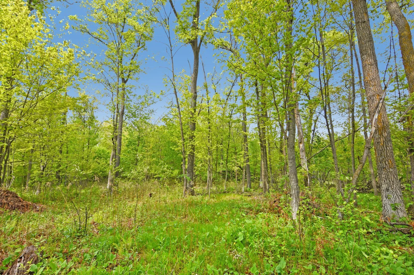 This beautiful wooded lot is the perfect place to build your Up-North Dream Home!