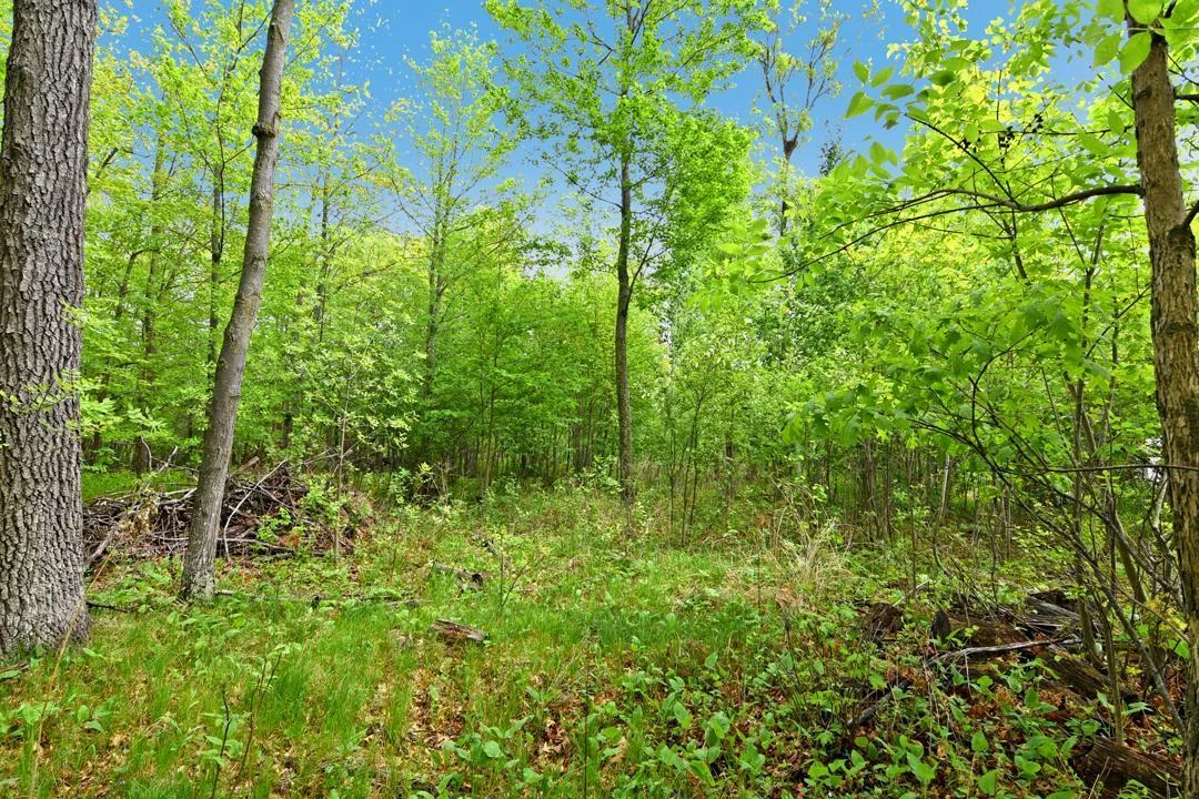 This beautiful wooded lot is the perfect place to build your Up-North Dream Home!
