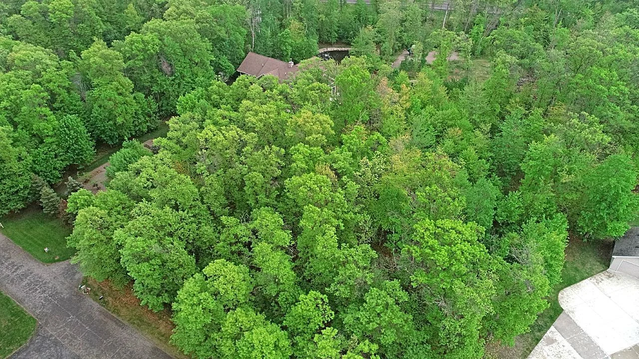 Here's your chance to own a gorgeous wooded lot with deeded access to Lake Dade, the perfect place to build your dream home!