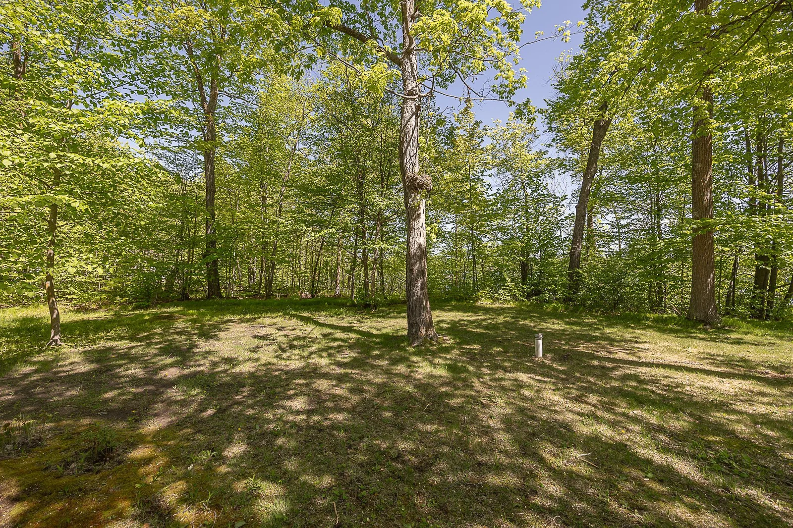 Large back yard.