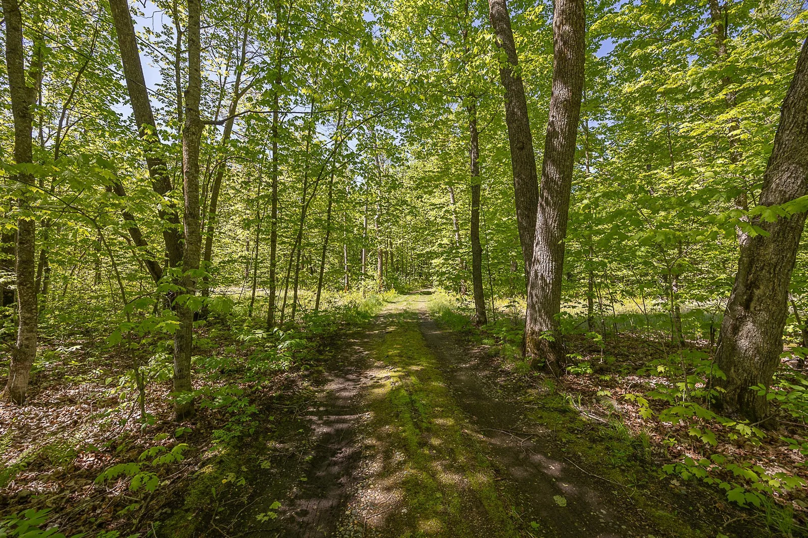 Enjoy the privacy of this large lot.