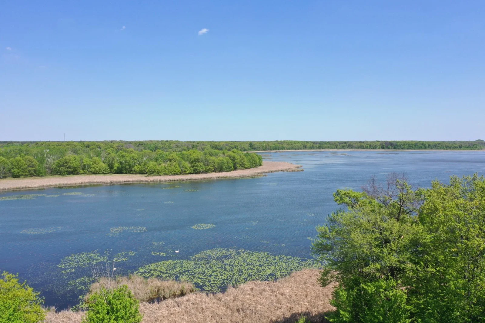 thumbnail_DJI_0656.jpg