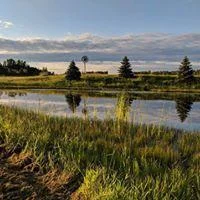 log home pond in the summer.jpg