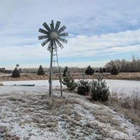 log home windmill and pond.jpg