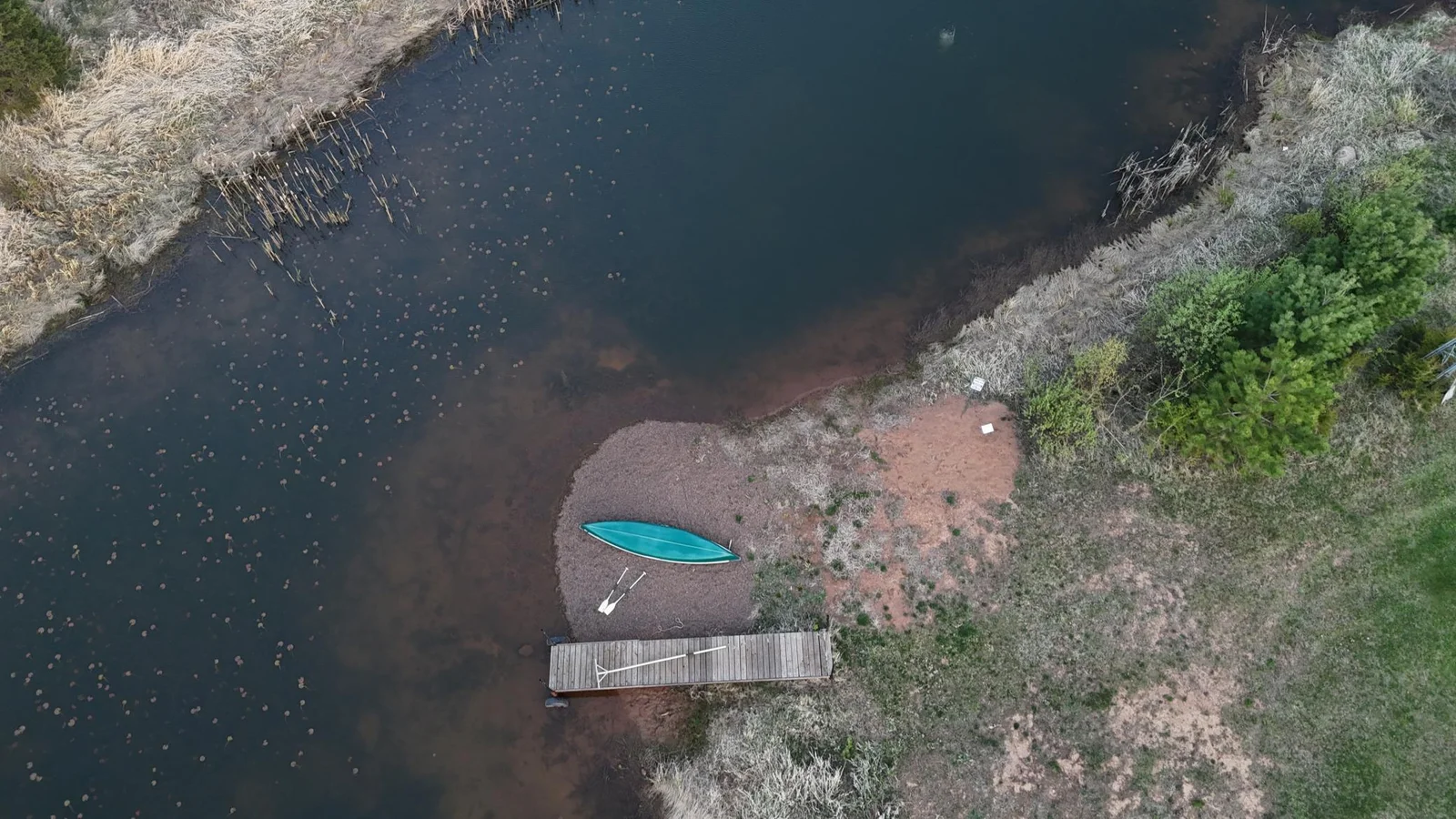DJI_20250509203717_0478_D.JPG