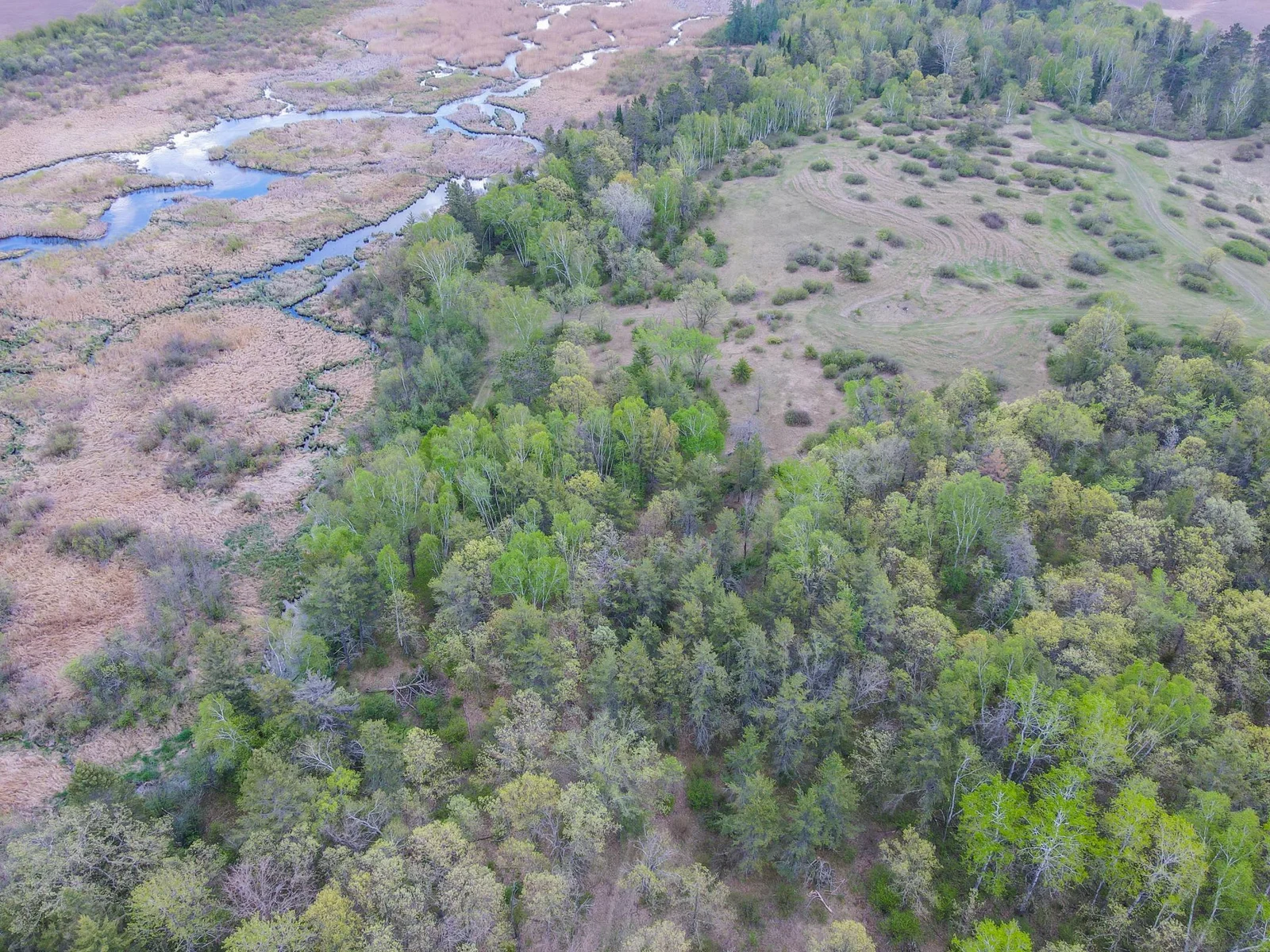 Drone View