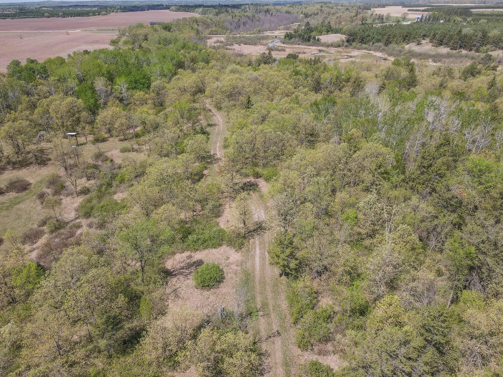 Drone View