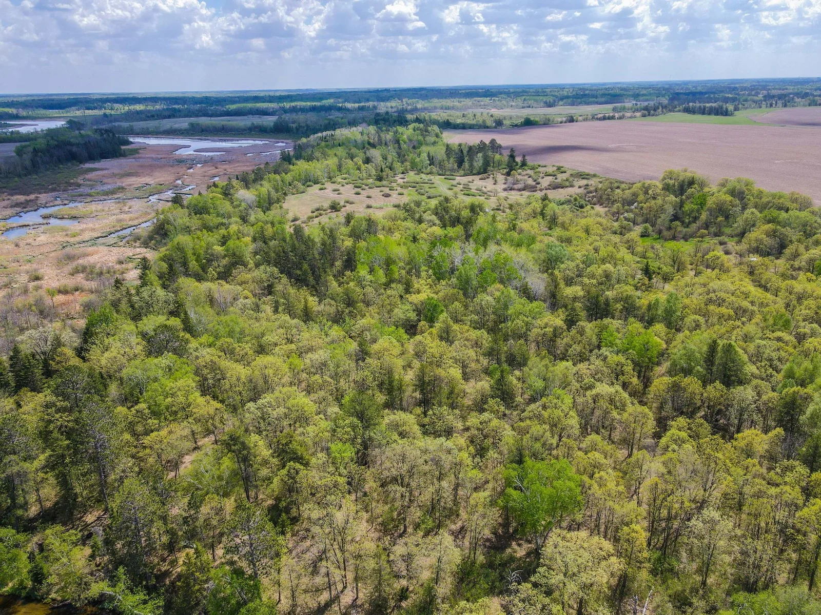 Drone View