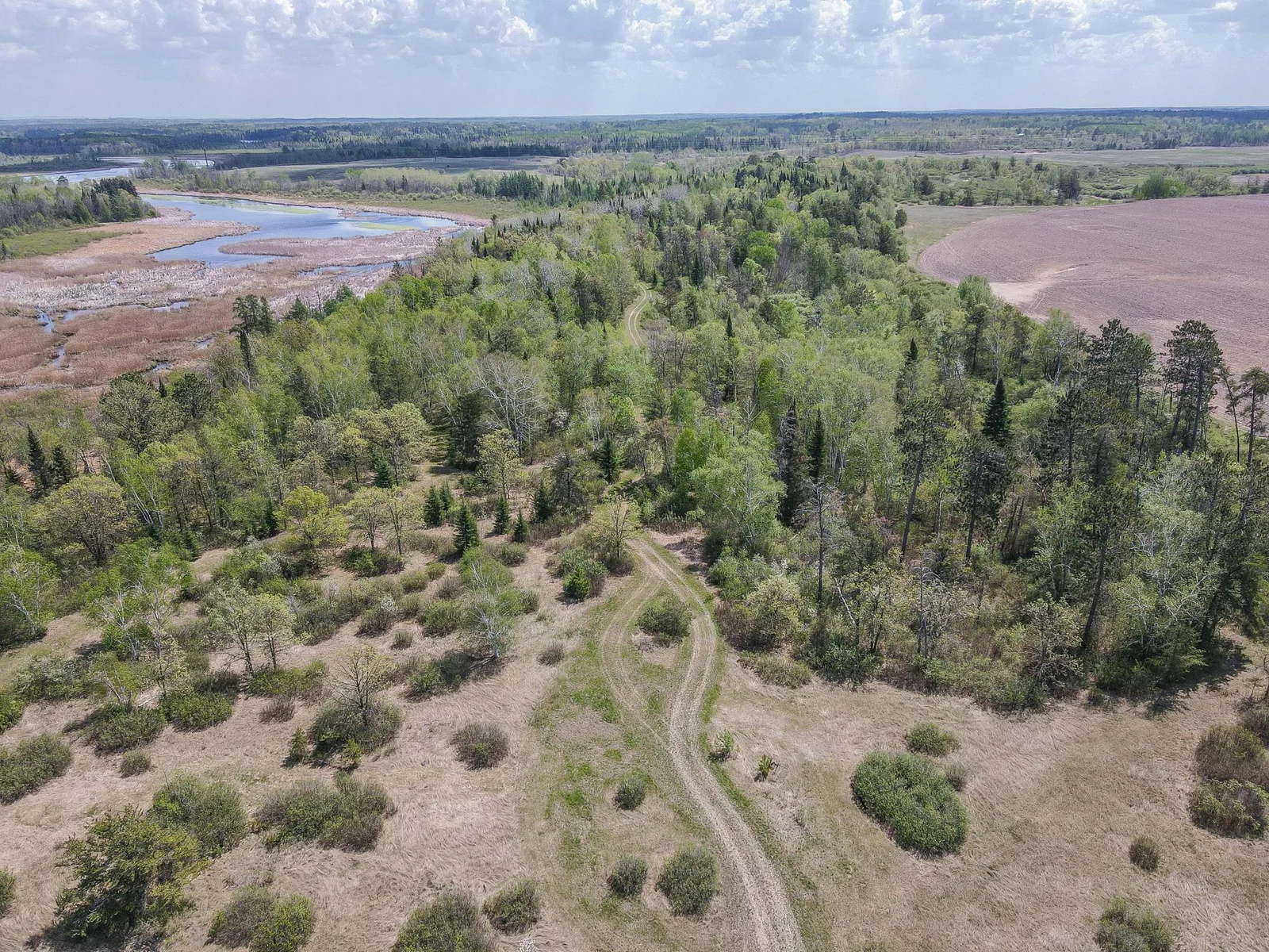 Drone View