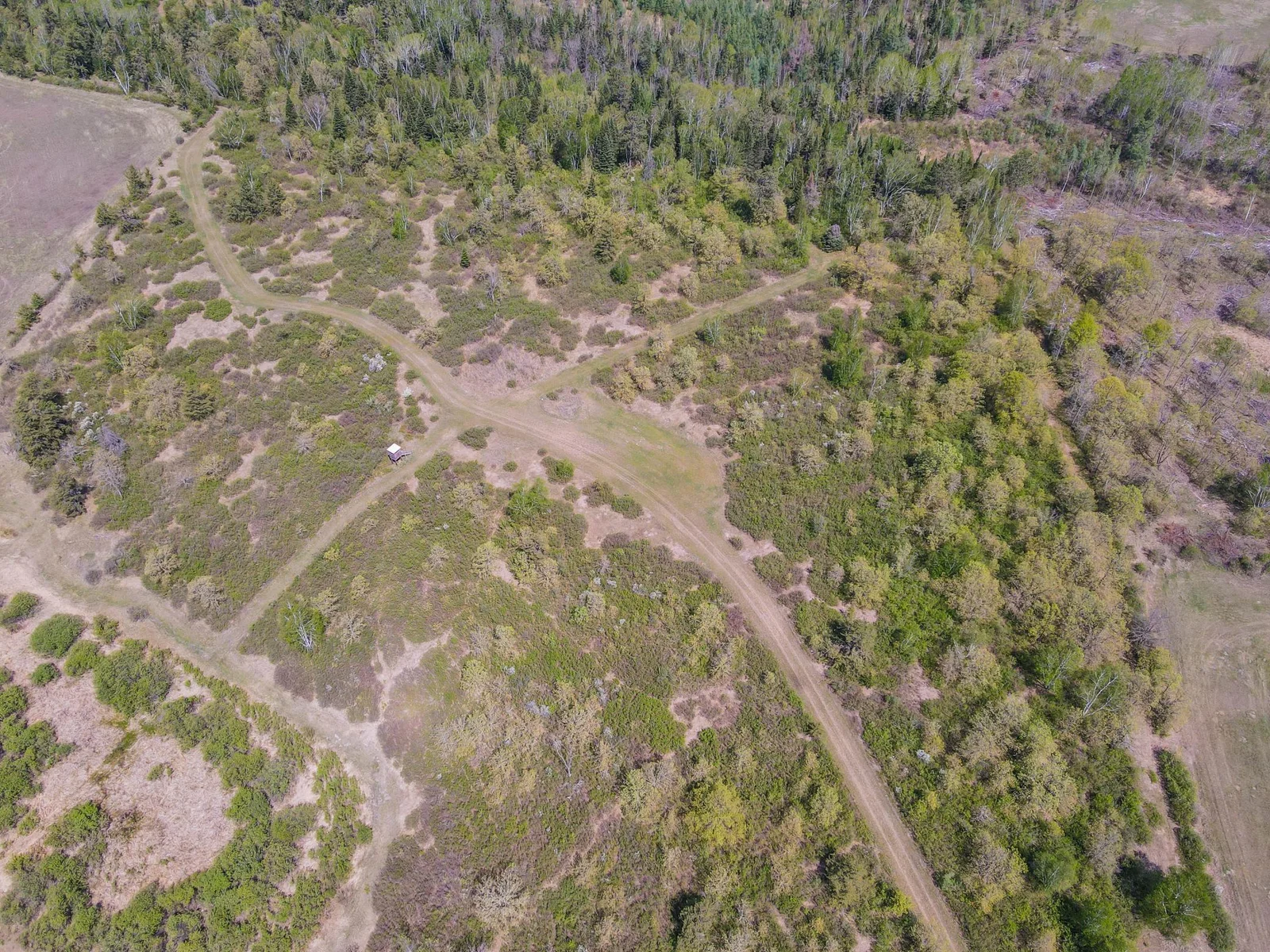 Drone View