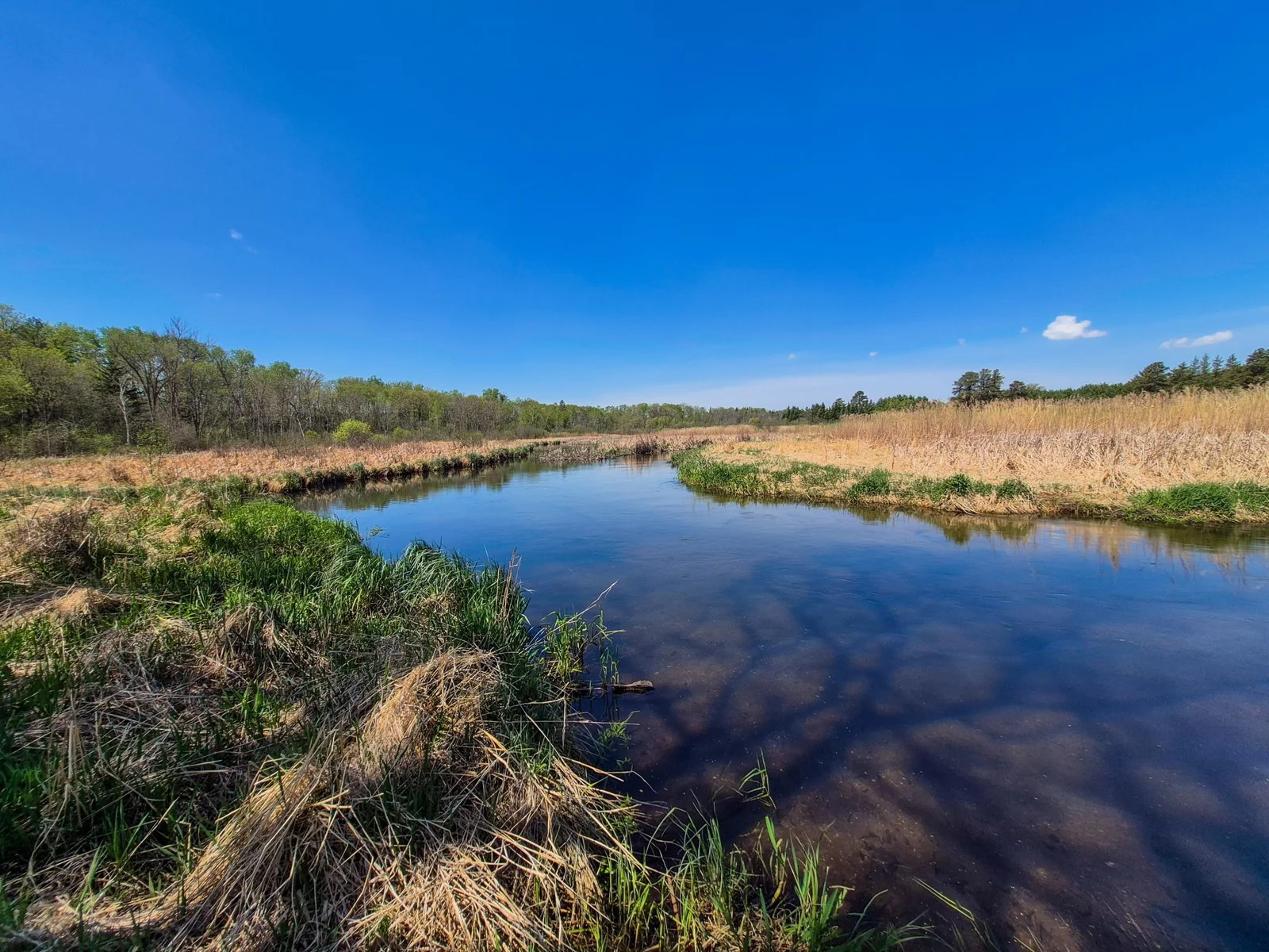 Beautiful Hay Creek