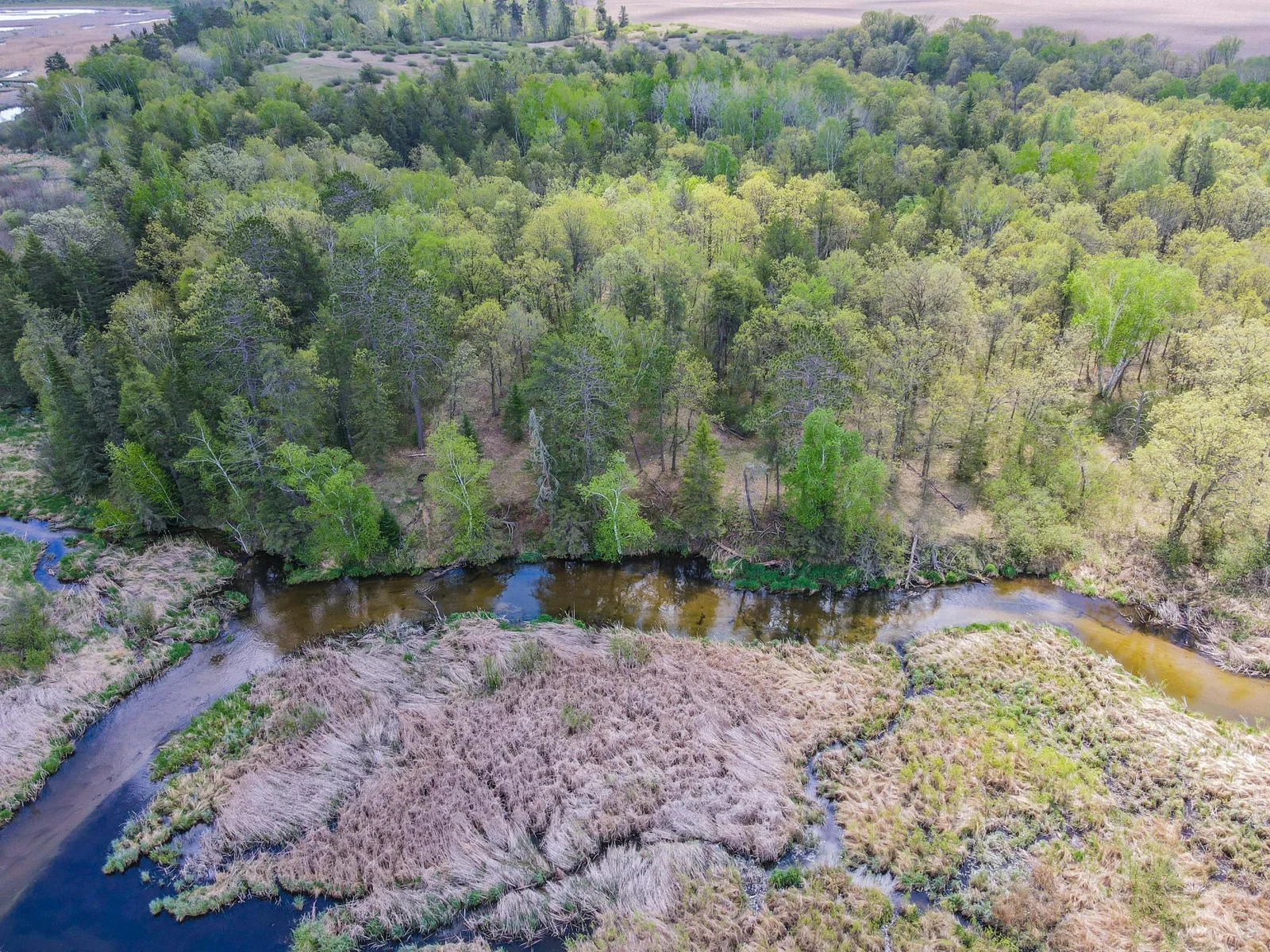 Drone View