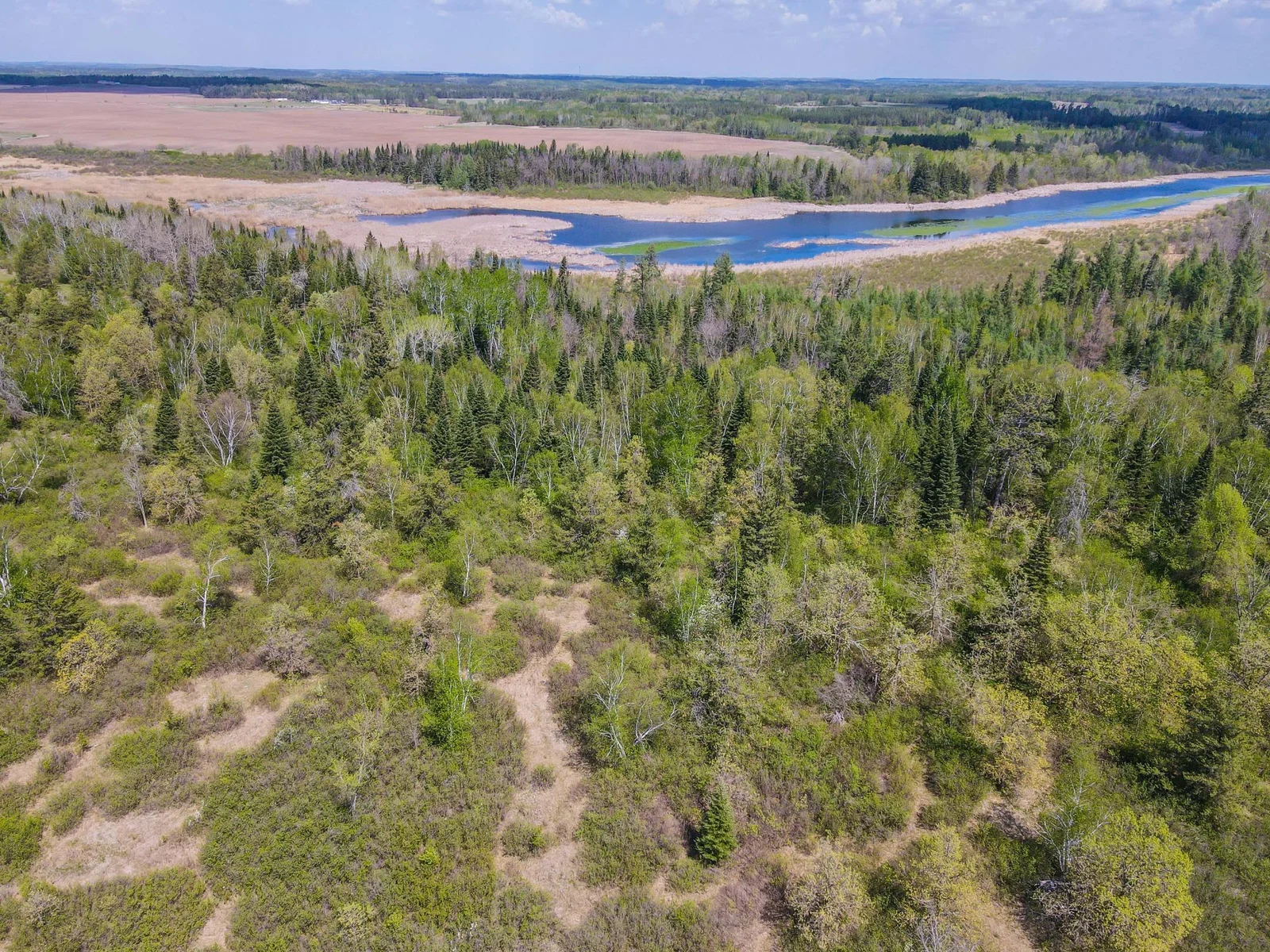 Drone View