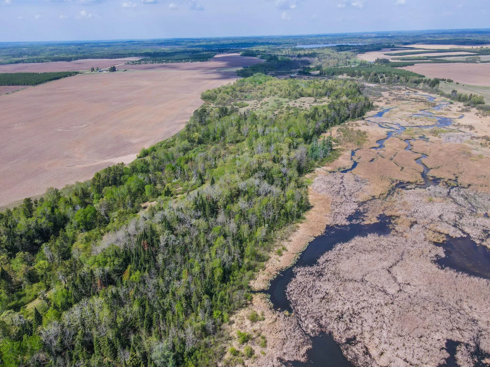 Drone View