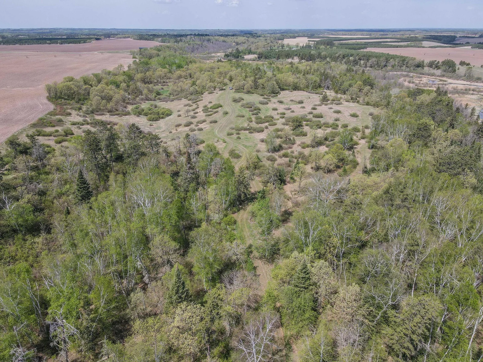 Drone View