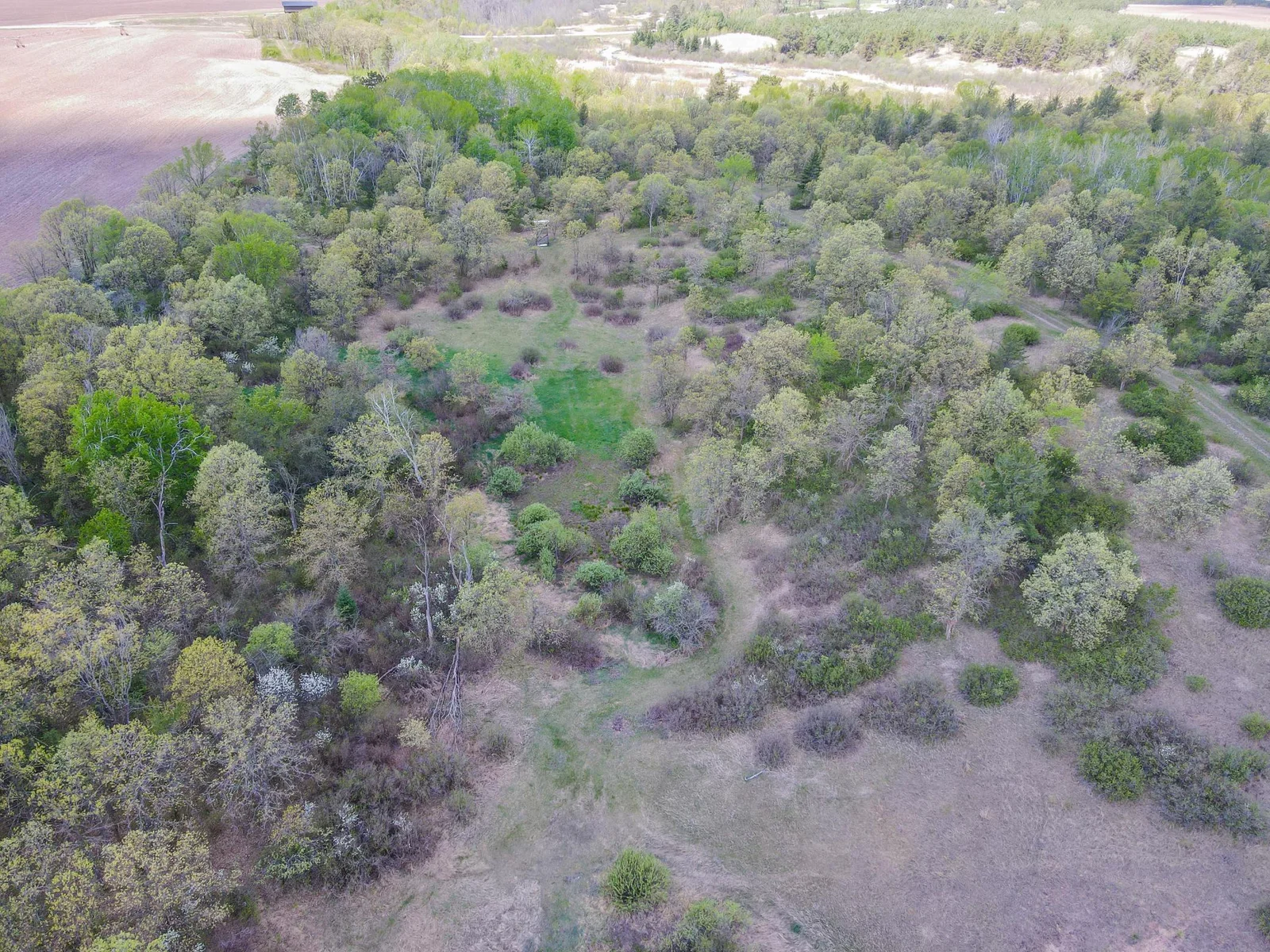 Drone View