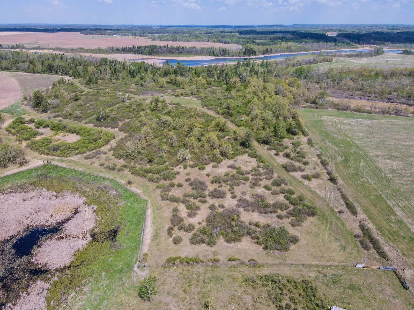 Drone View
