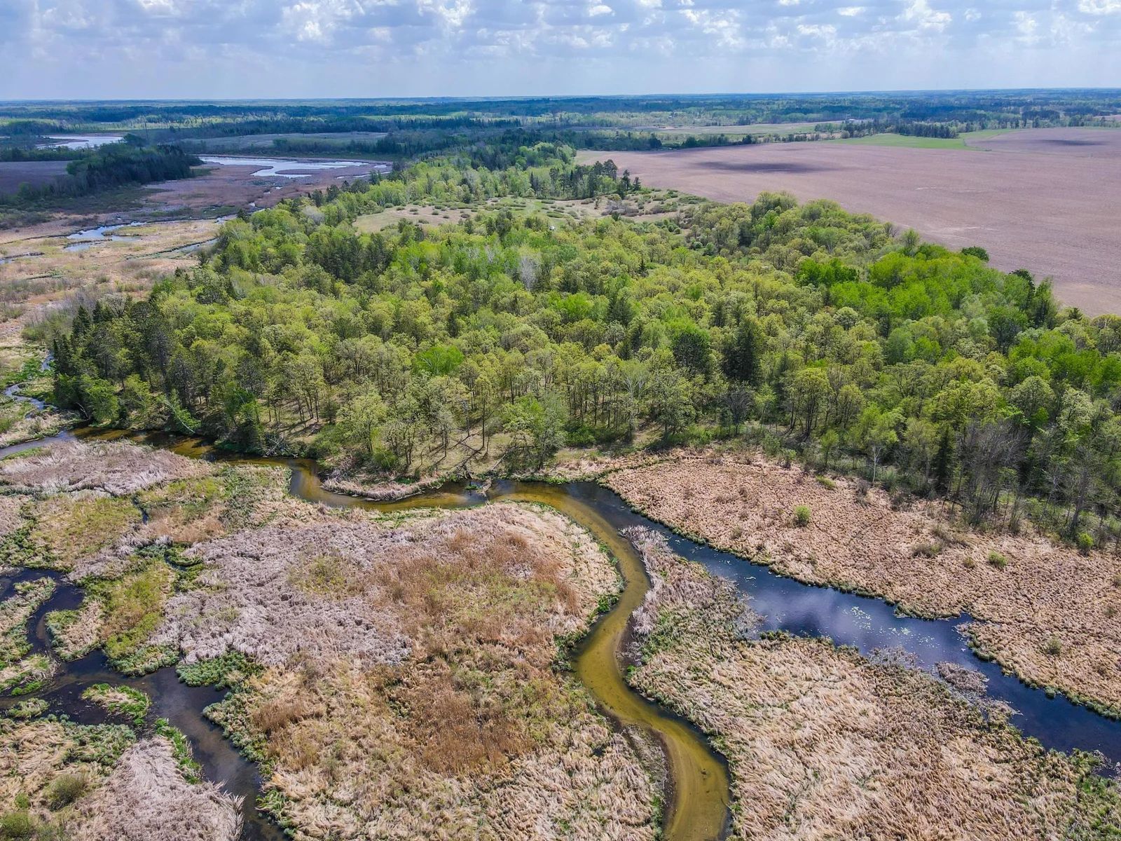 Drone View