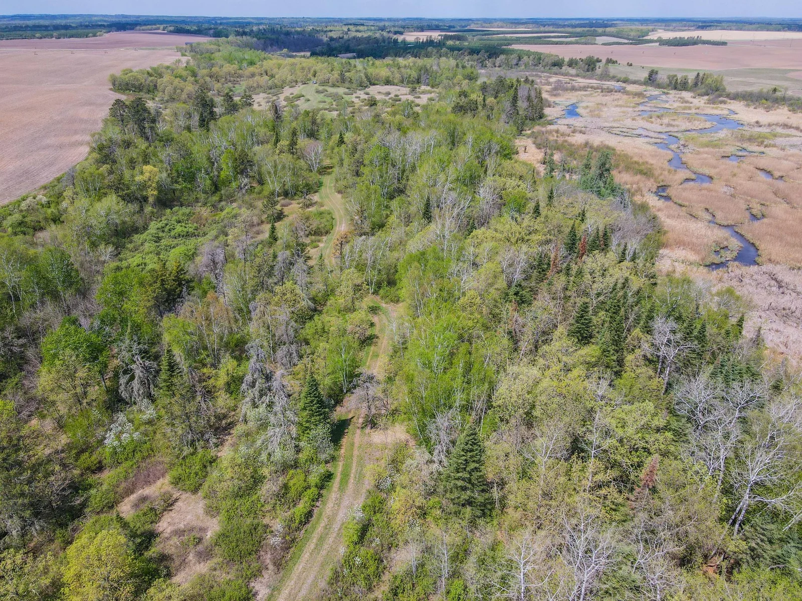 Drone View