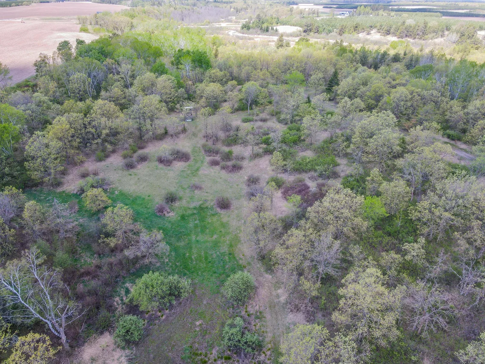 Drone View