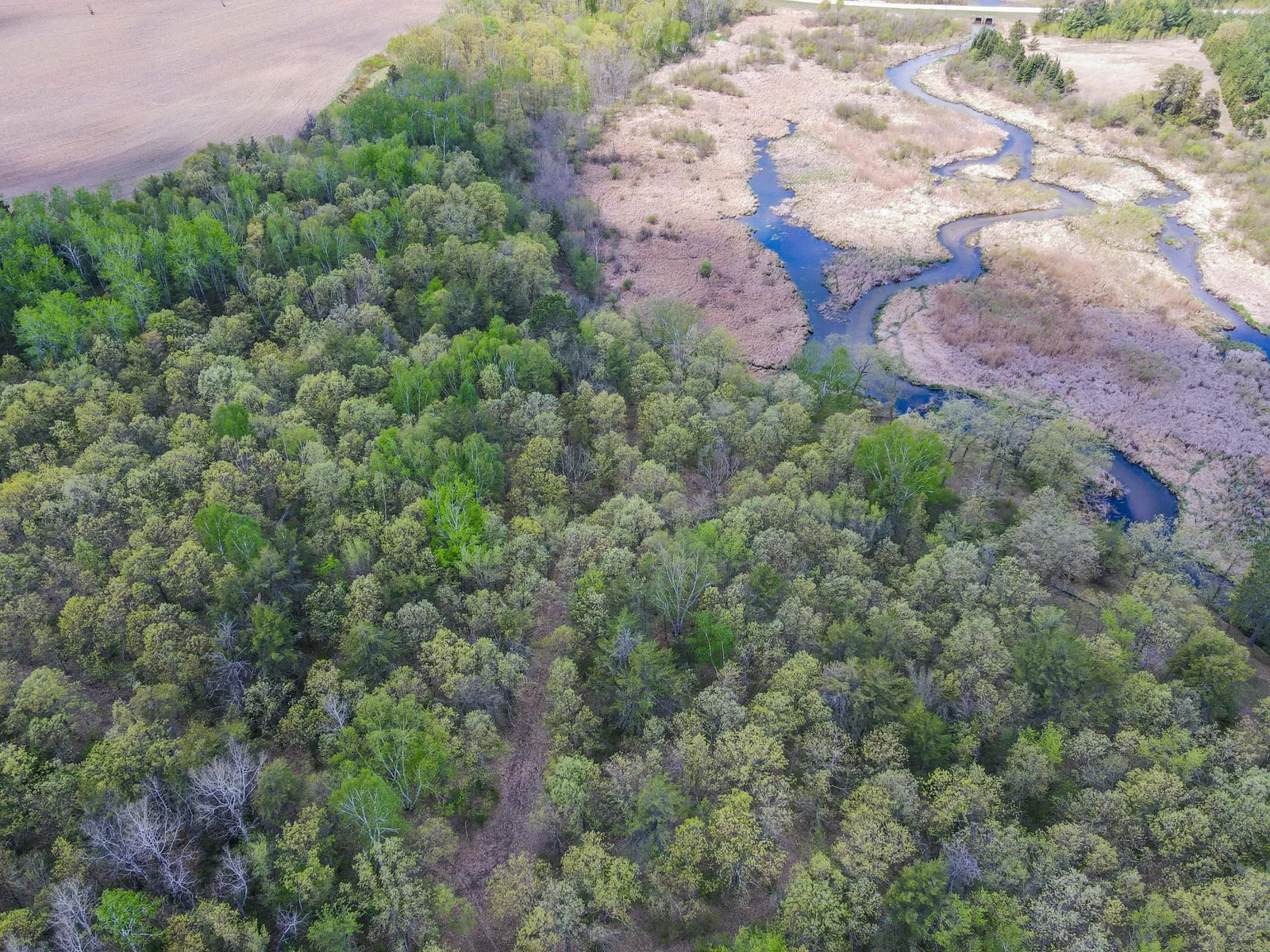 Drone View
