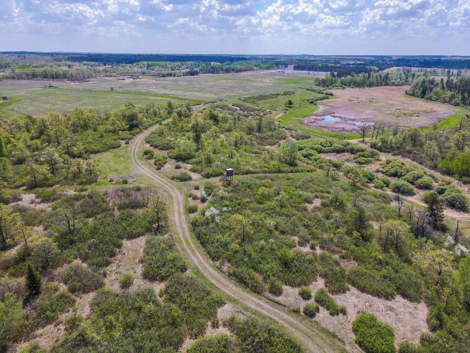 Drone View