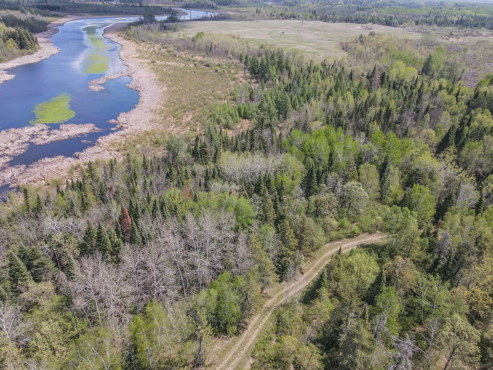 Drone View