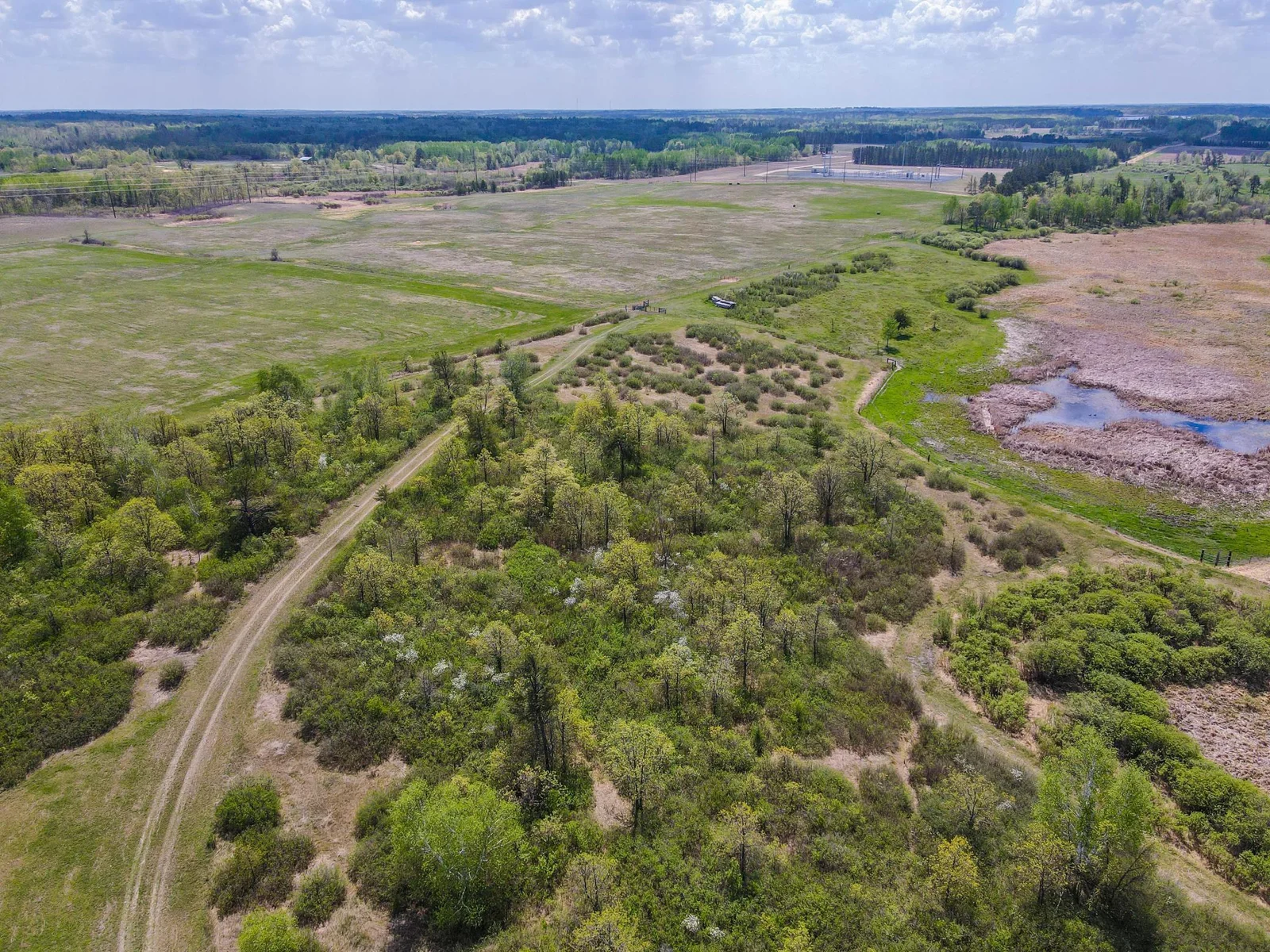 Drone View