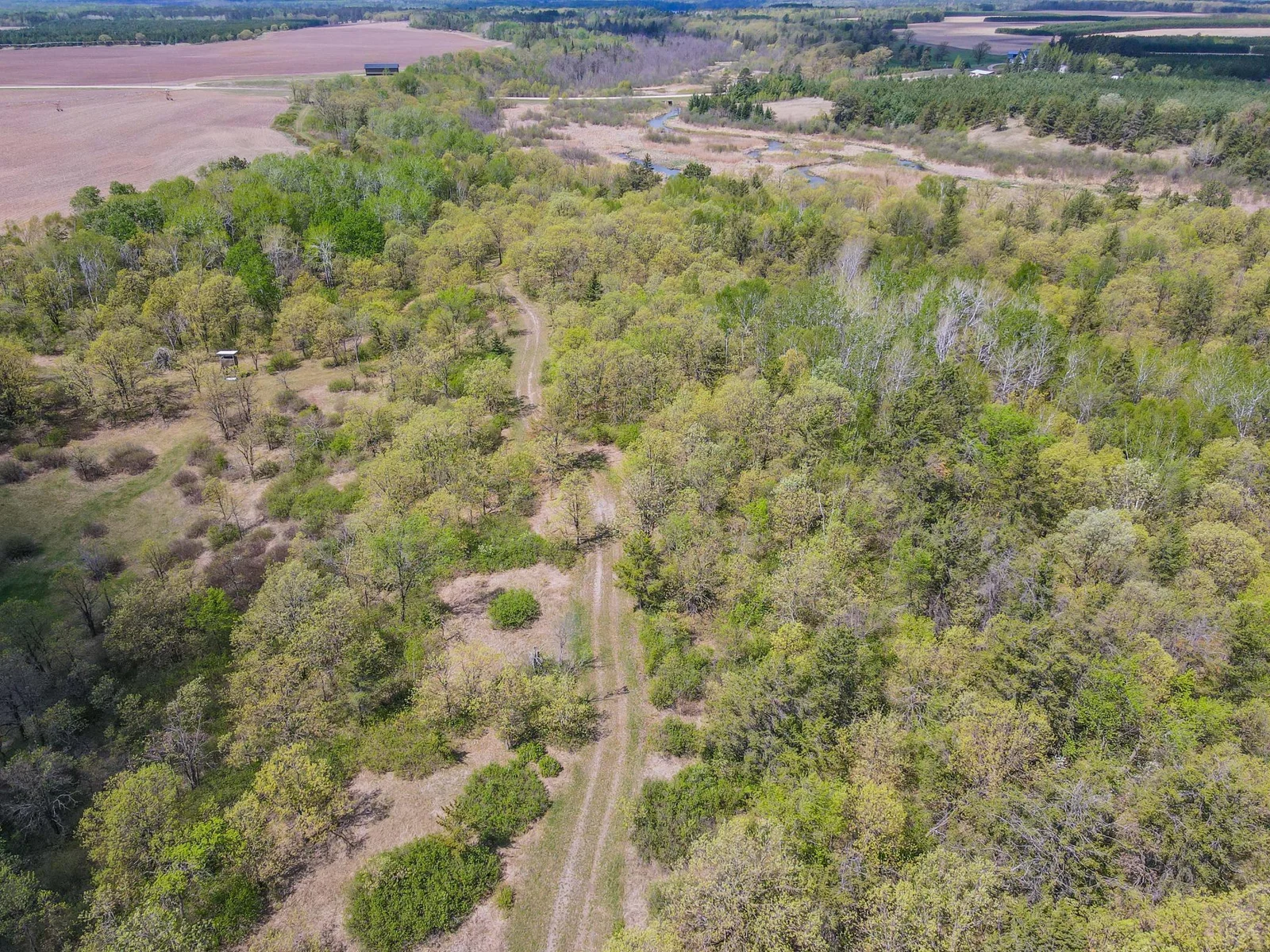 Drone View