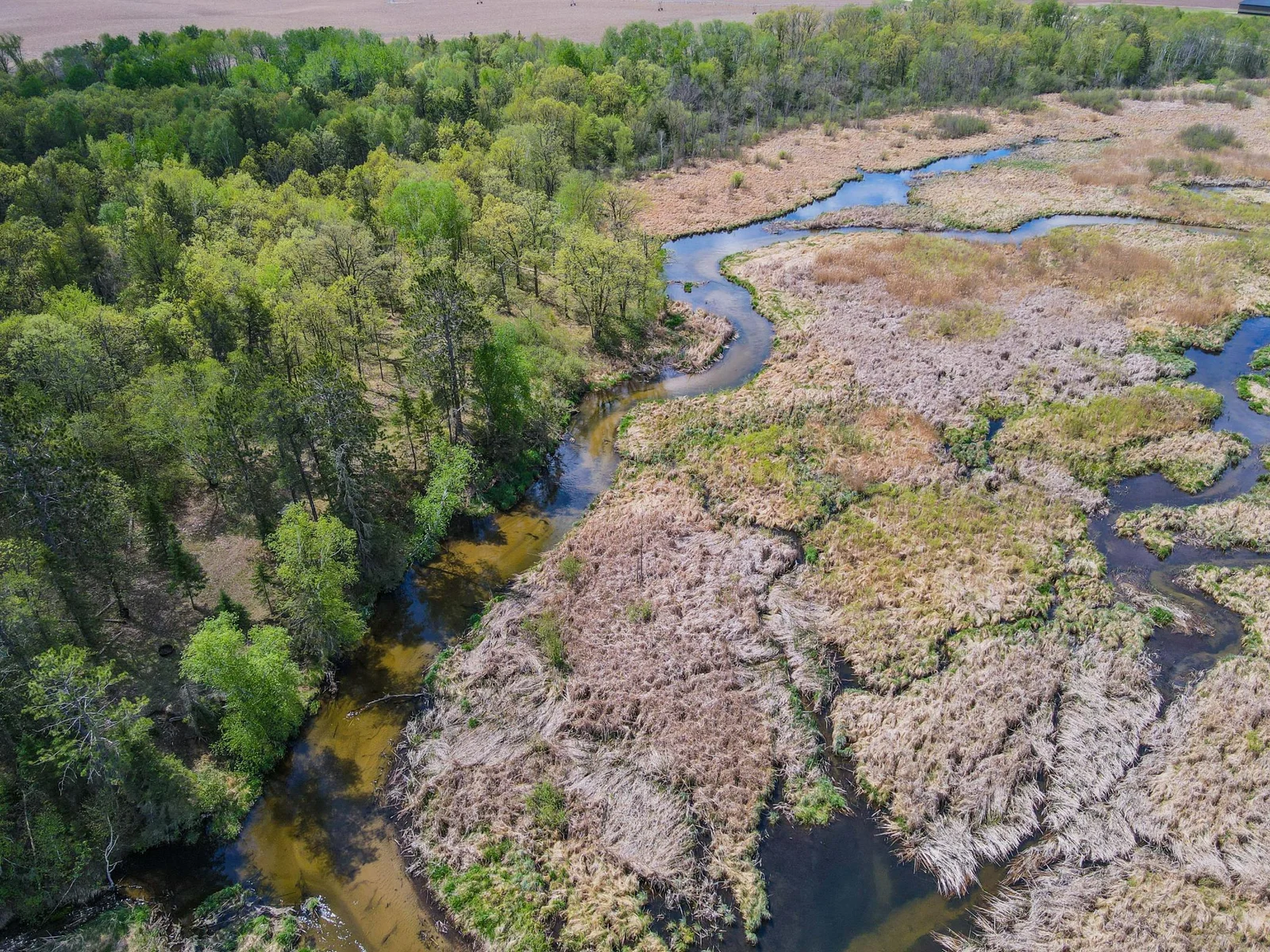 Drone View