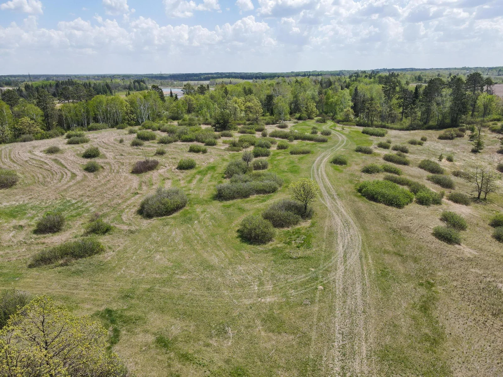 Drone View