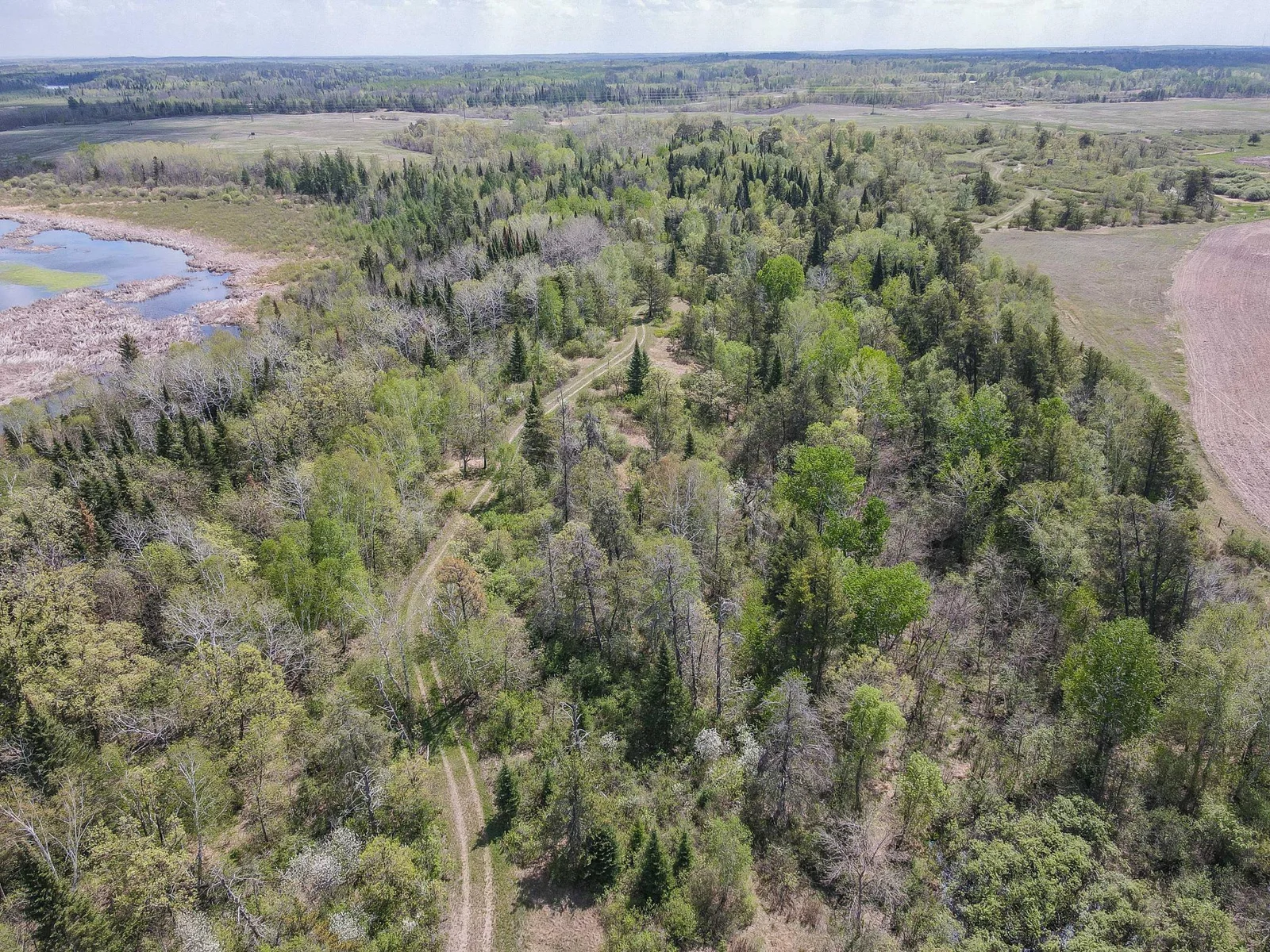 Drone View