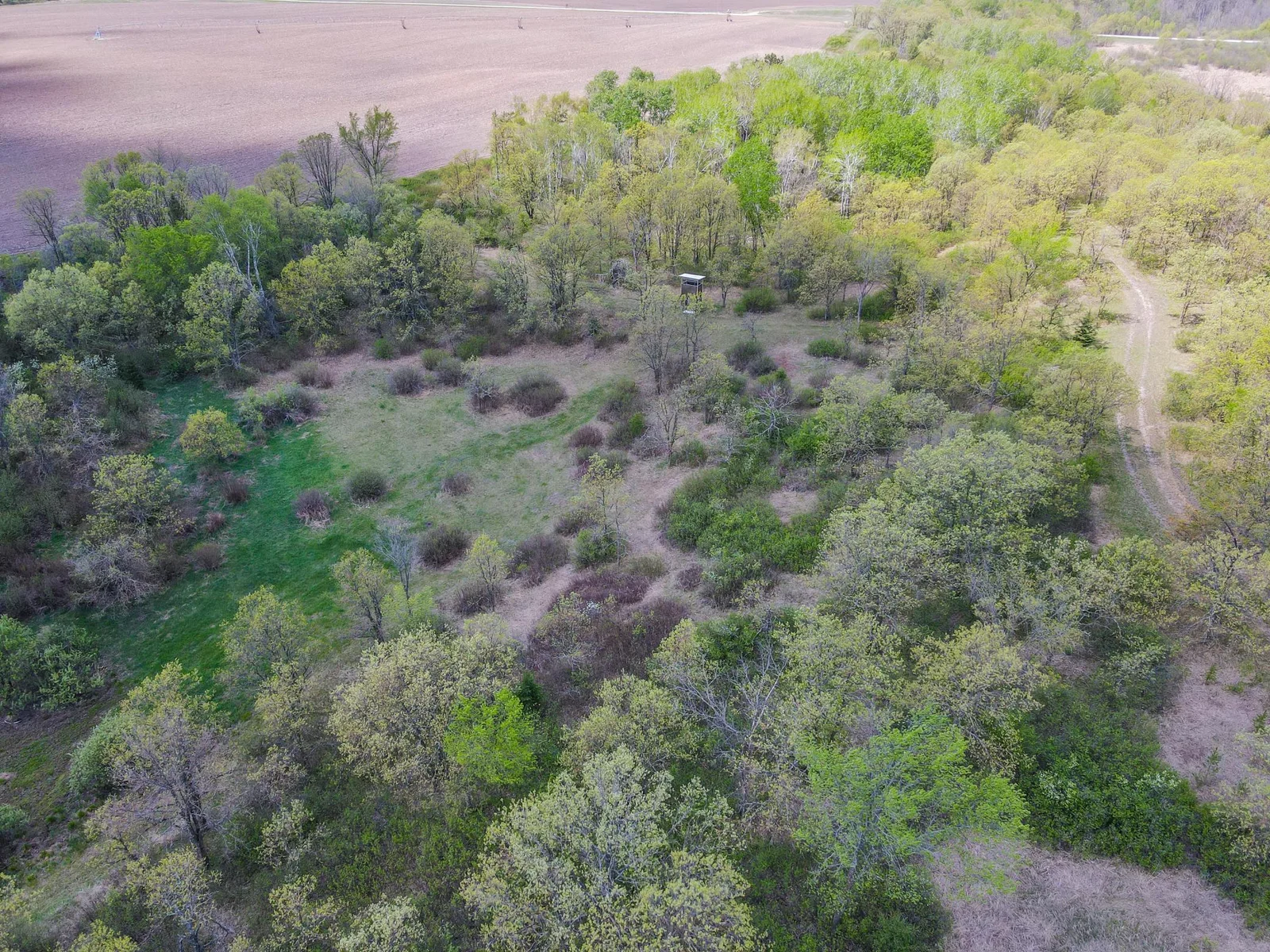 Drone View