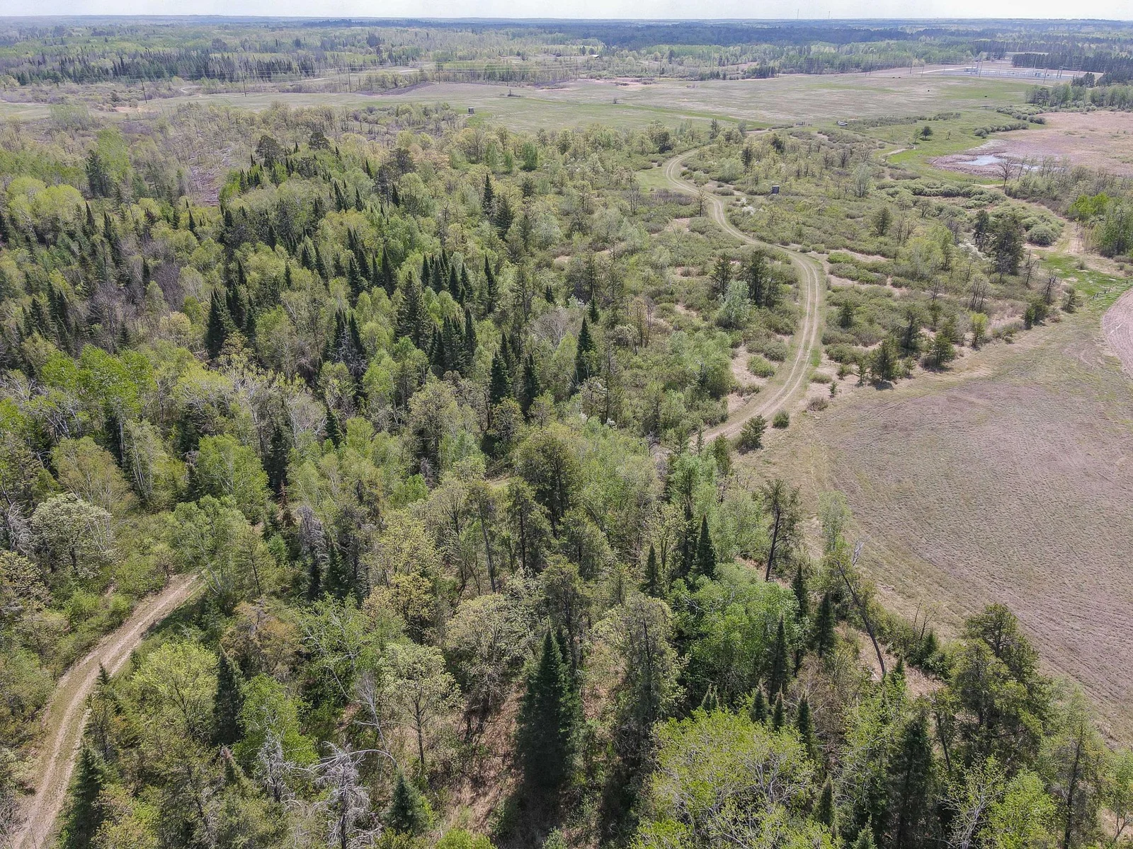 Drone View