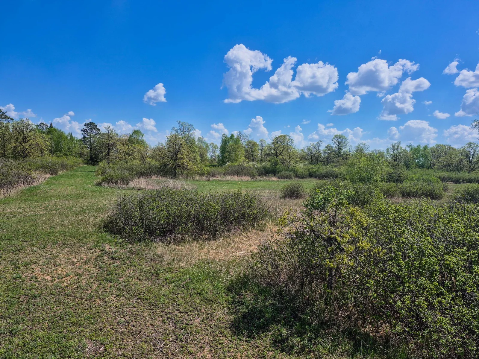 Trails Throughout
