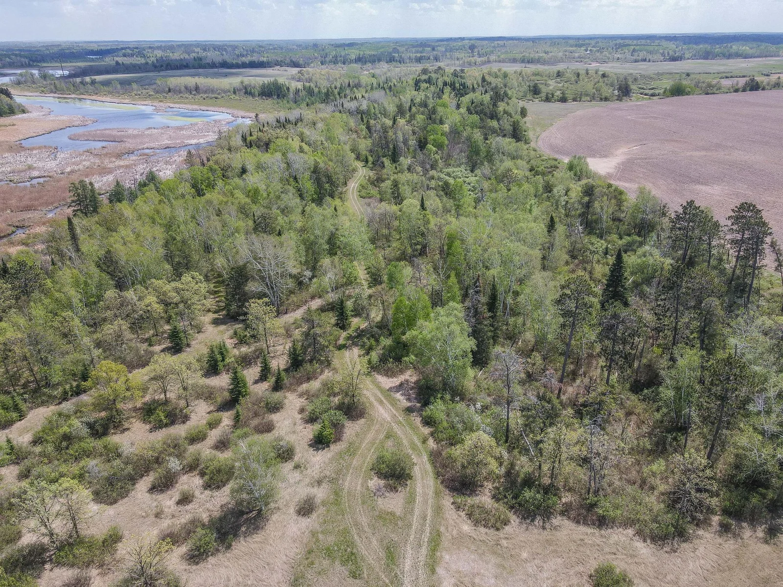 Drone View