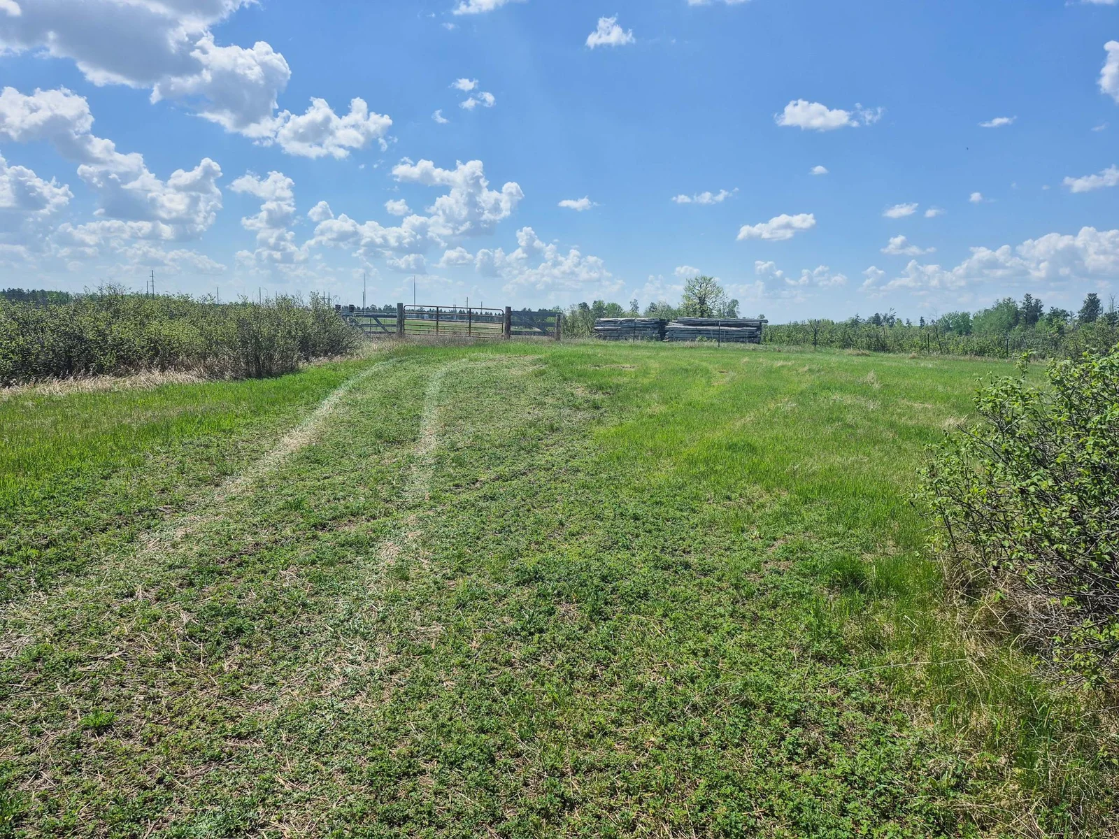 South End of Property