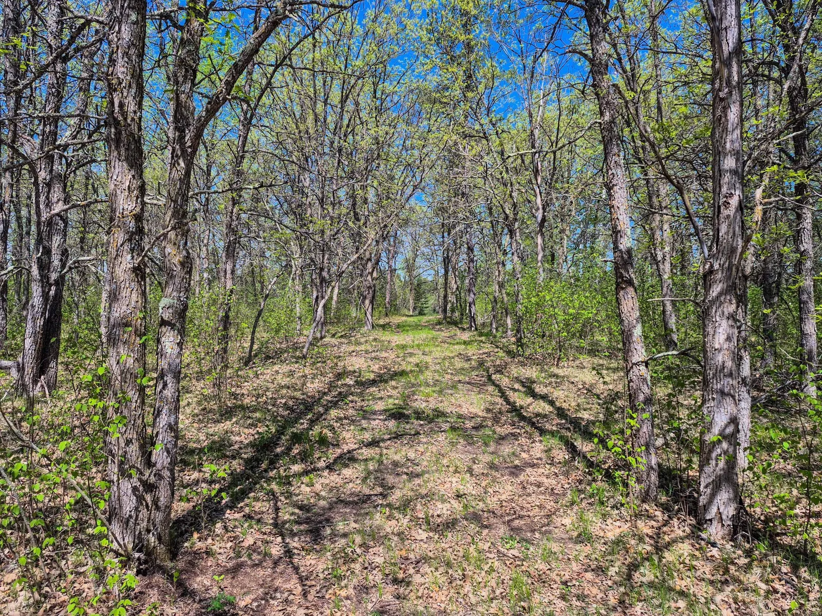 Trails