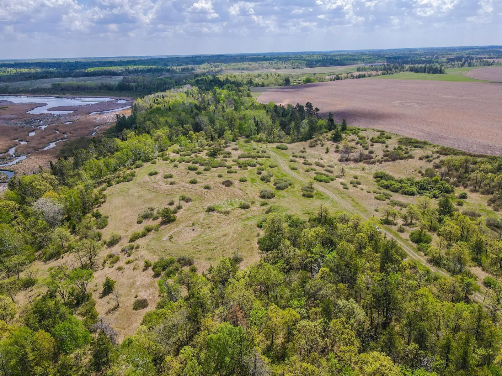 Drone View