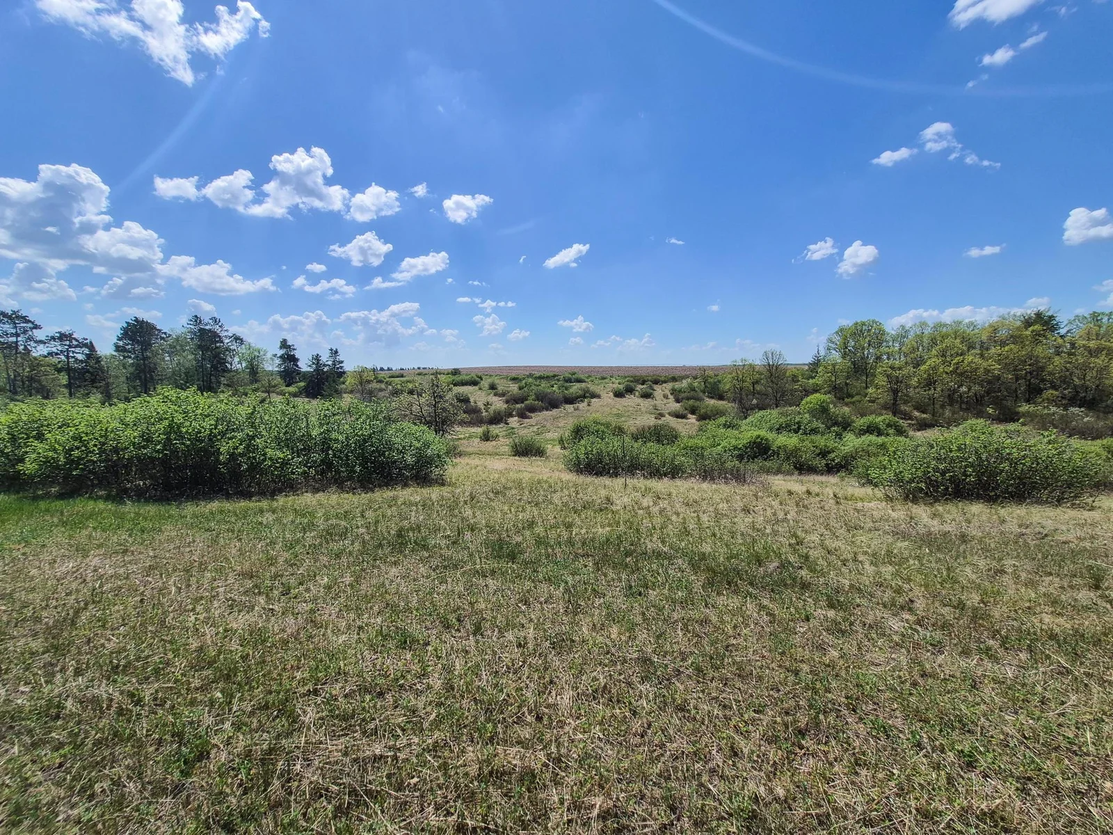 Mixed Terrain