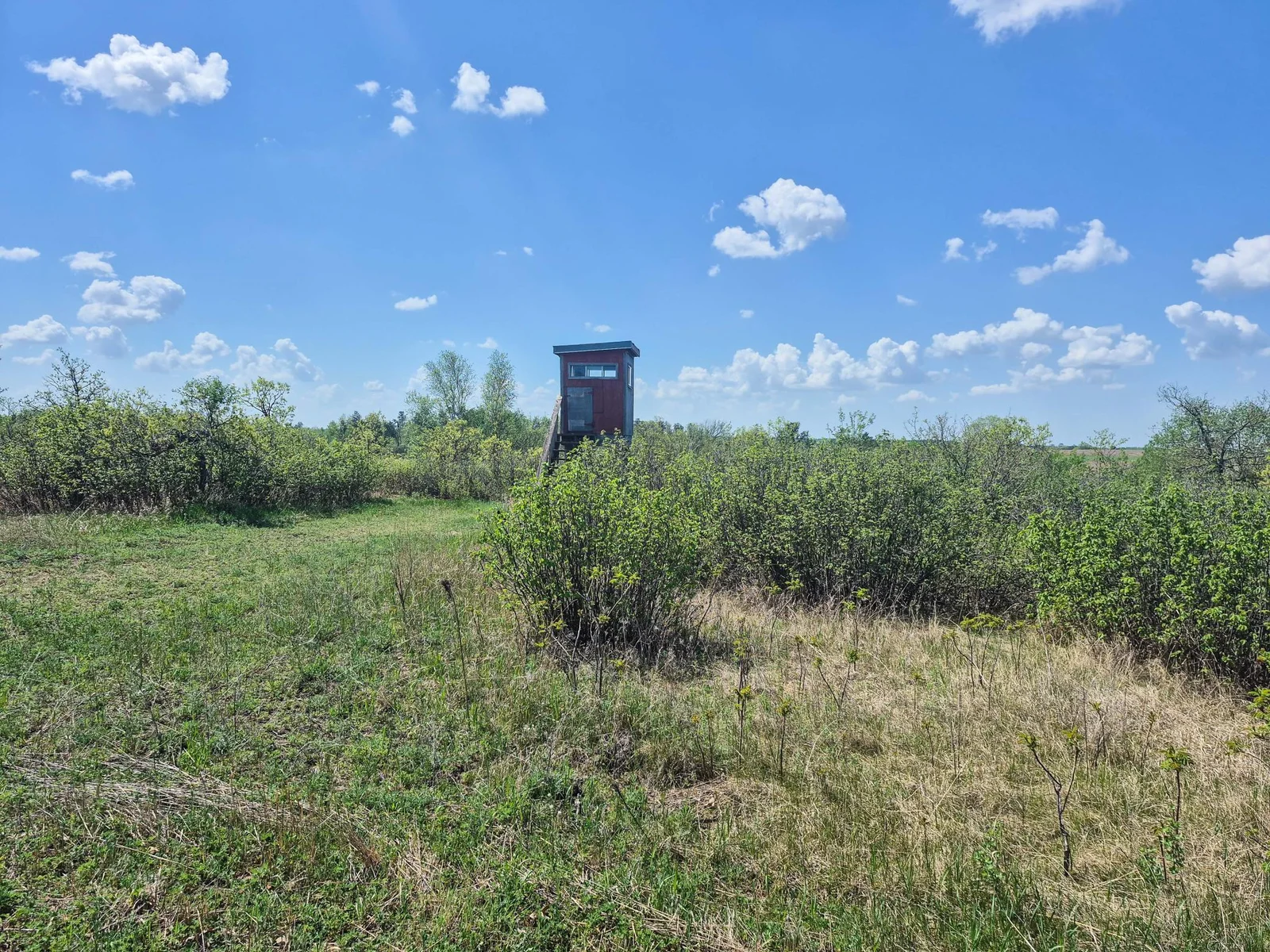 Deer Stand