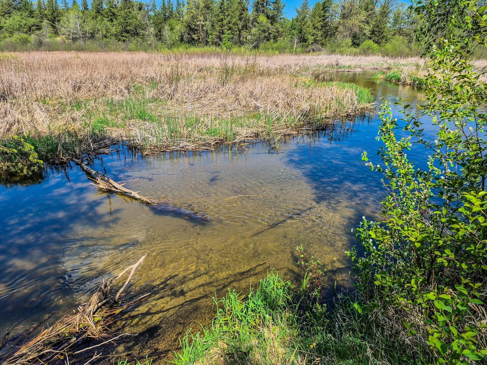 Hay Creek