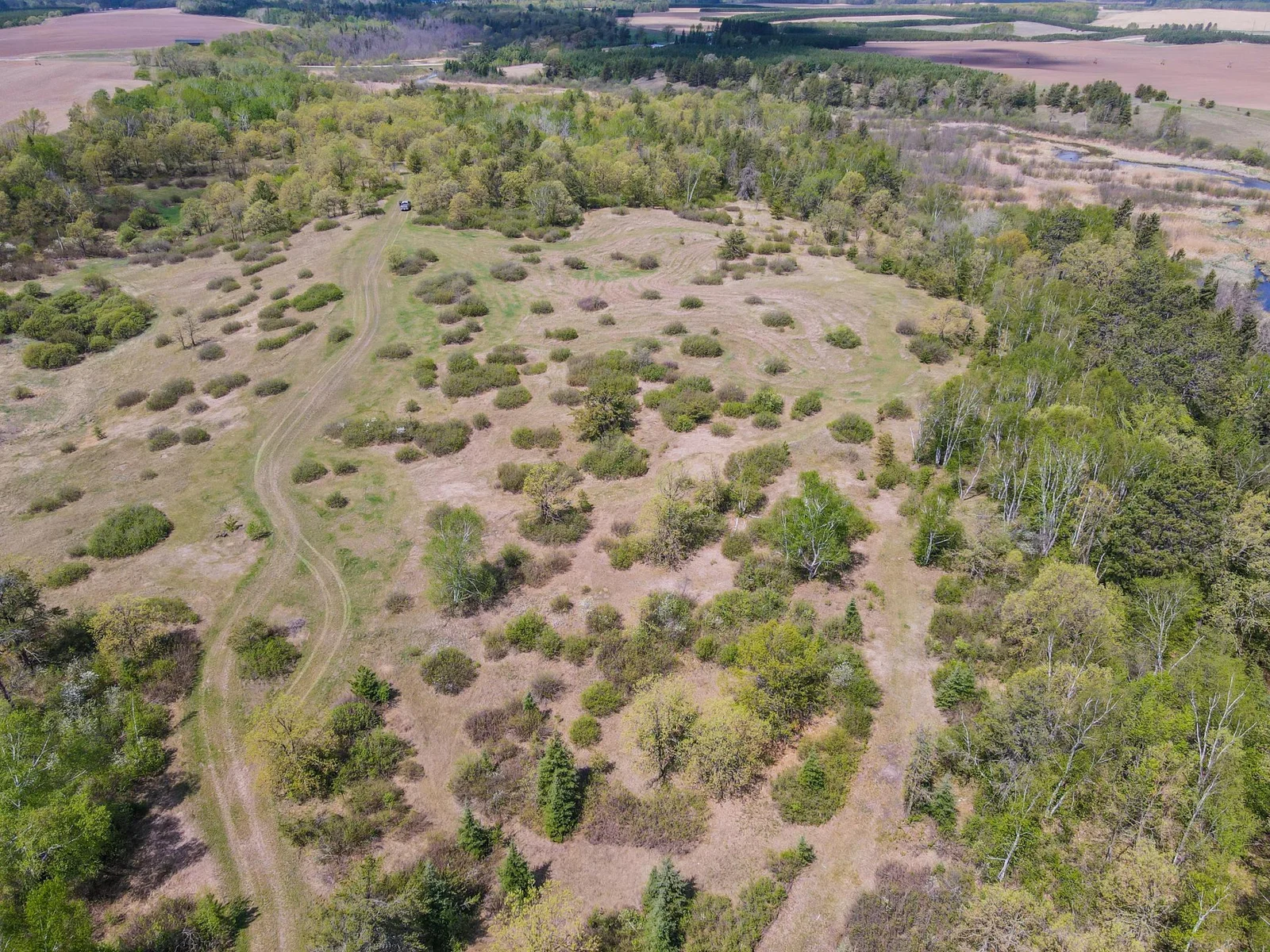 Drone View