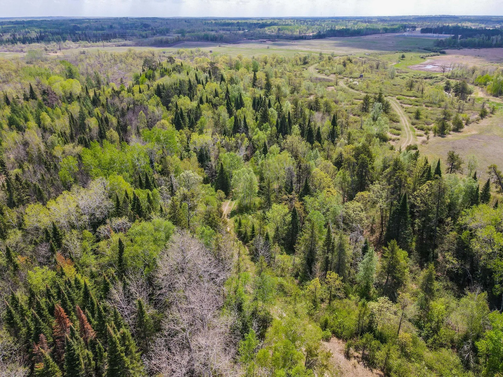 Drone View