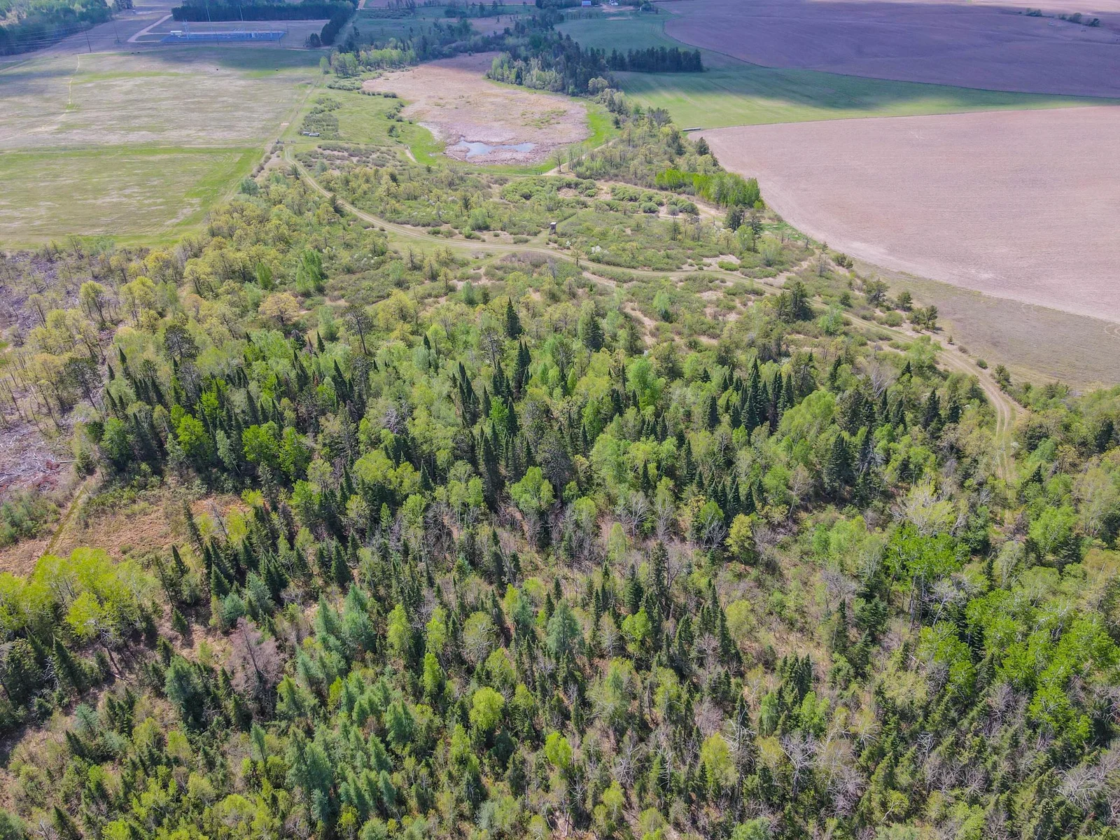 Drone View